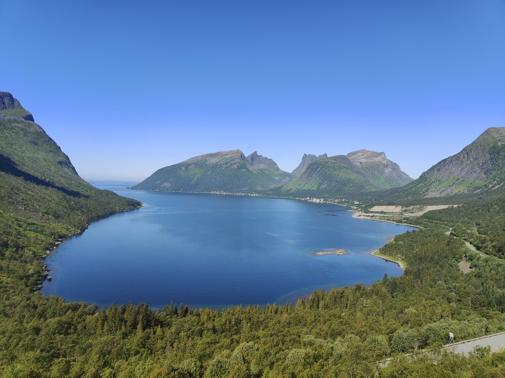 Tyyni vuonomaisema ja metsä